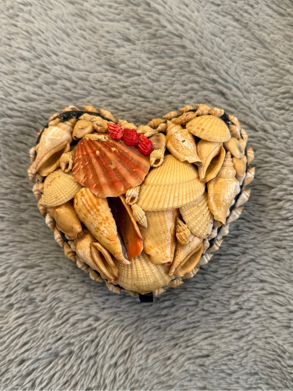 Heart-Shaped Seashell Trinket Box - Natural Shells